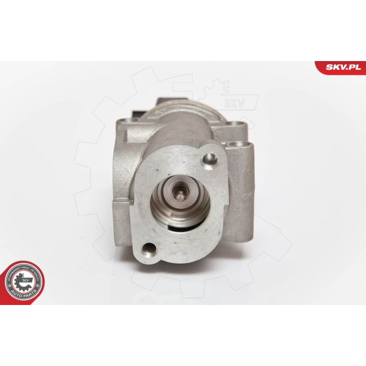 Zawór spalin EGR ESEN SKV 14SKV055