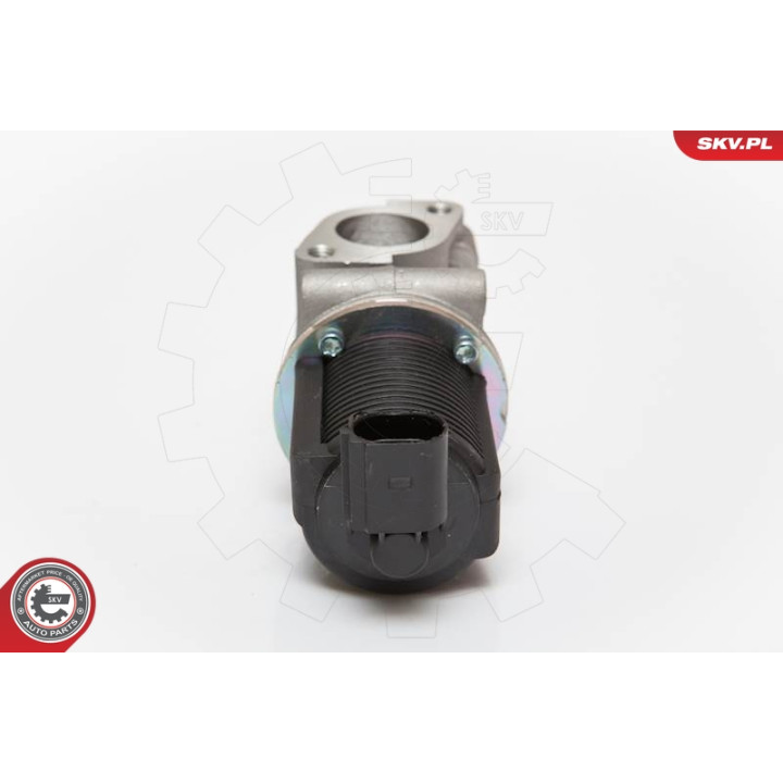 Zawór spalin EGR ESEN SKV 14SKV055