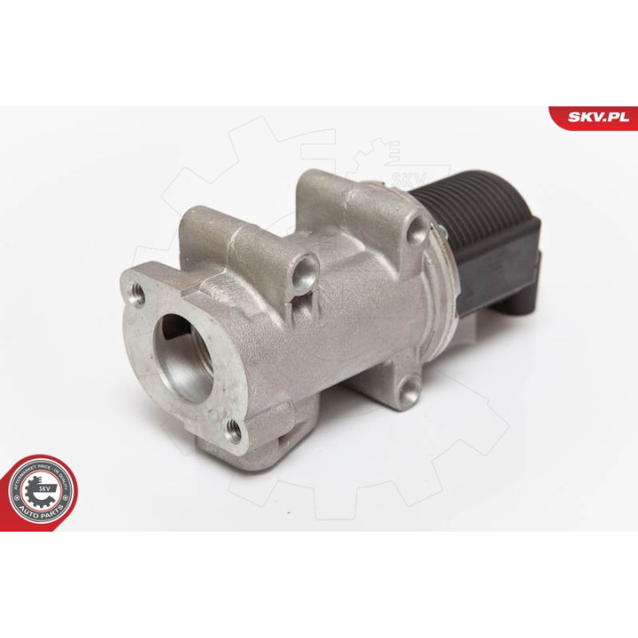 Zawór spalin EGR ESEN SKV 14SKV055