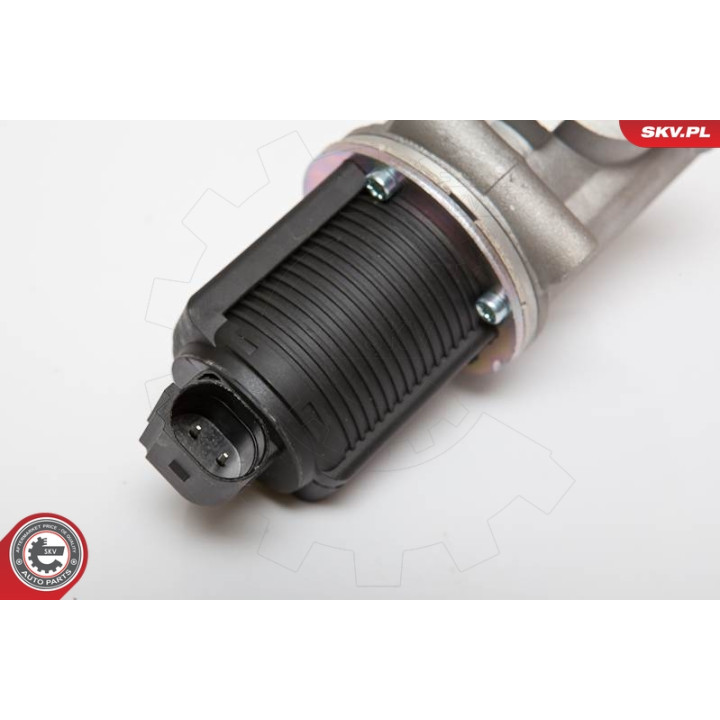 Zawór spalin EGR ESEN SKV 14SKV055