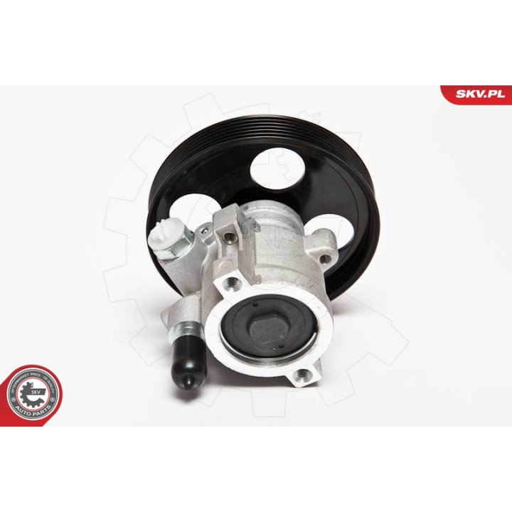 Pompa wspomagania ESEN SKV 10SKV069