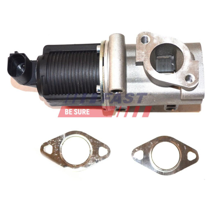 Zawór spalin EGR FAST FT60227