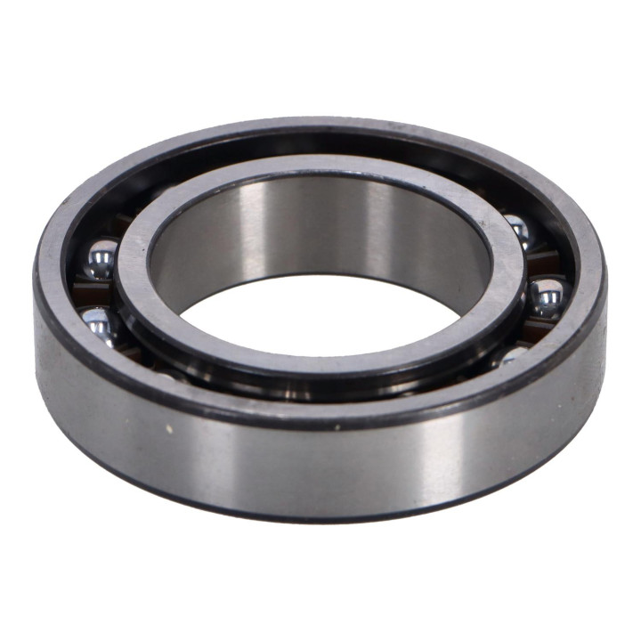 Bearing Volvo (30819930)