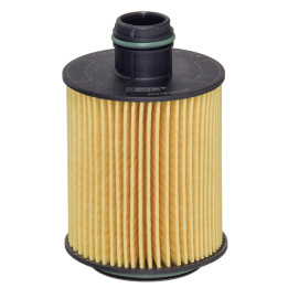 Filtr oleju HENGST FILTER E124H02 D202