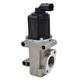 Zawór spalin EGR MAGNETI MARELLI 571822112007
