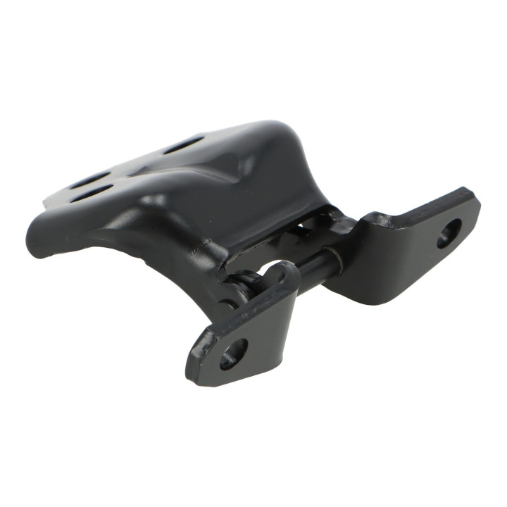 Hinge Volvo (30870777)