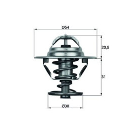 Termostat MAHLE TX 10 88D