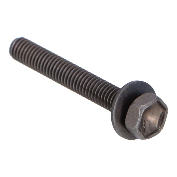 Flange screw Volvo (30776041)