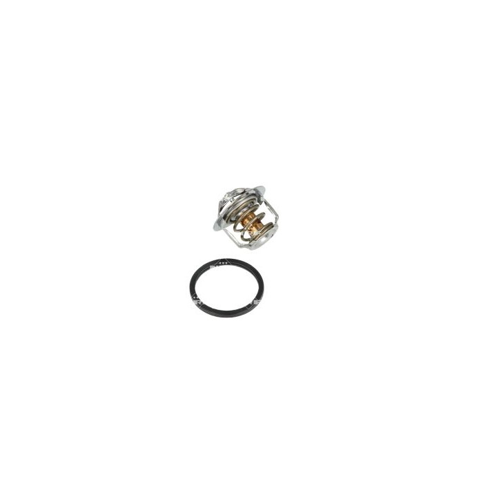 Termostat NRF 725205