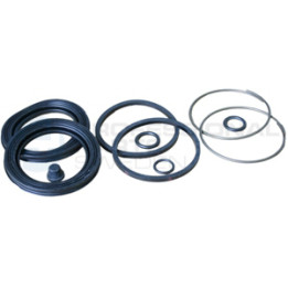 Zestaw naprawczy zacisku hamulcowego Professional Parts 51343829