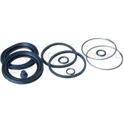 Zestaw naprawczy zacisku hamulcowego Professional Parts 51343829
