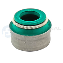 Uszczelniacz trzonka zaworu Professional Parts 21436002