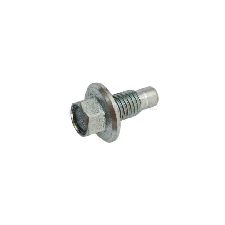 Korek śruba spustu miski oleju Professional Parts 21349933
