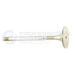 Zawór dolotowy Professional Parts 23345580