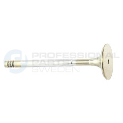 Zawór dolotowy Professional Parts 23345580