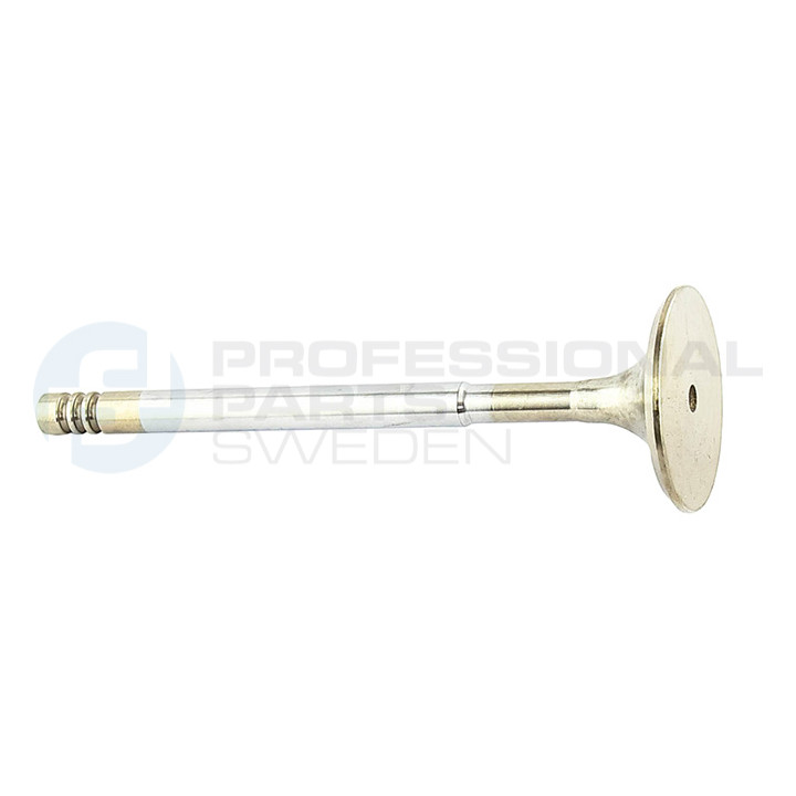 Zawór dolotowy Professional Parts 23345580