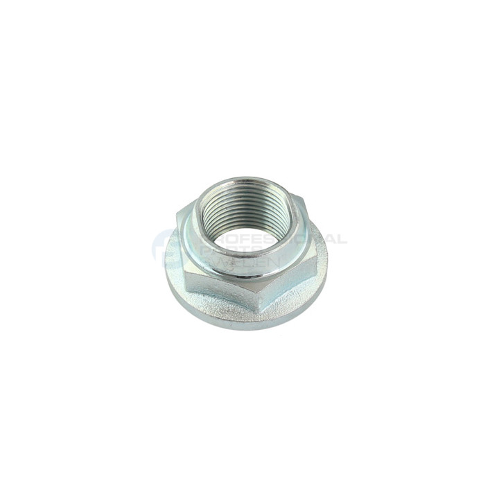 Nakrętka, czop osi Professional Parts 77345360