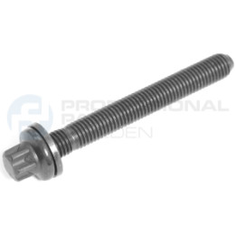 Śruba głowicy cylindrów Professional Parts 21345794