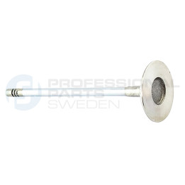 Zawór dolotowy Professional Parts 23345851