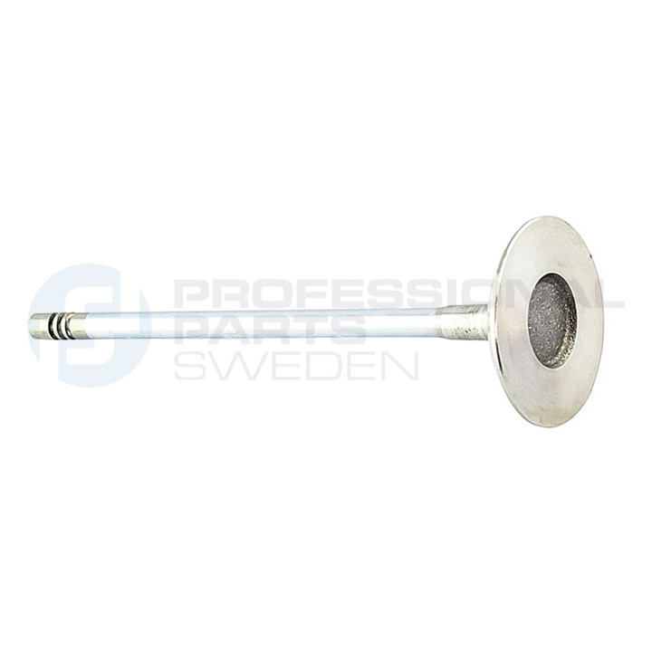 Zawór dolotowy Professional Parts 23345851