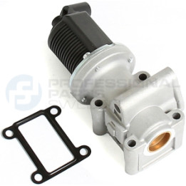 Zawór spalin EGR Professional Parts 87345031