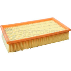 Filtr powietrza Professional Parts 24346074