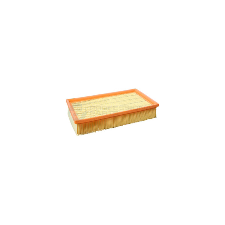 Filtr powietrza Professional Parts 24346074