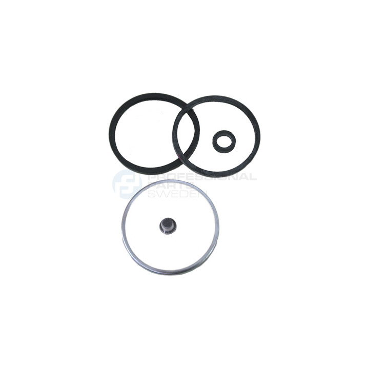 Zestaw naprawczy zacisku hamulcowego Professional Parts 51343847