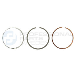 Zestaw pierścieni tłokowych Professional Parts 21343569