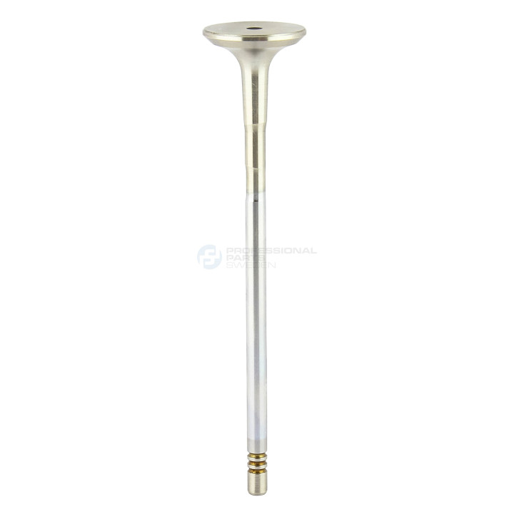 Zawór wydechowy Professional Parts 23349794
