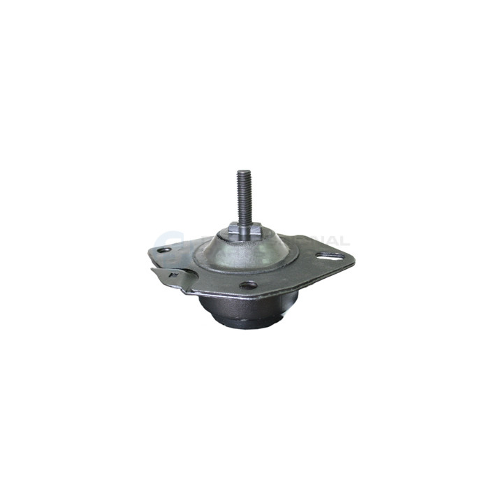 Poduszka silnika Professional Parts 62346006