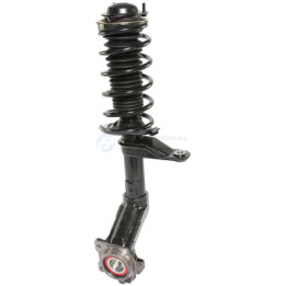 Zestaw zawieszenia sprężyna i amortyzator Professional Parts 72348841C