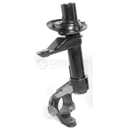 Kolumna zawieszenia Professional Parts 72348841