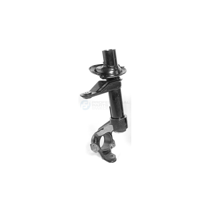 Kolumna zawieszenia Professional Parts 72348841