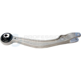 Wahacz zawieszenia koła Professional Parts 61340071