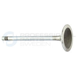 Zawór dolotowy Professional Parts 23346696