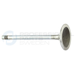 Zawór dolotowy Professional Parts 23346696