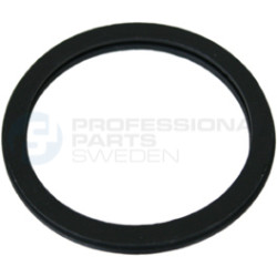 Uszczelka termostatu Professional Parts 21343058