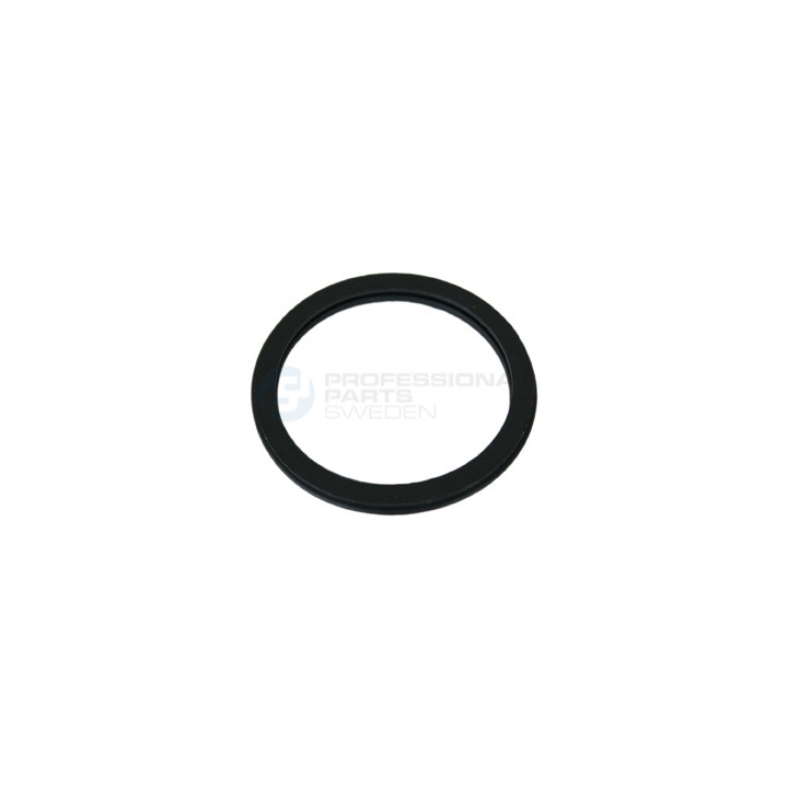 Uszczelka termostatu Professional Parts 21343058