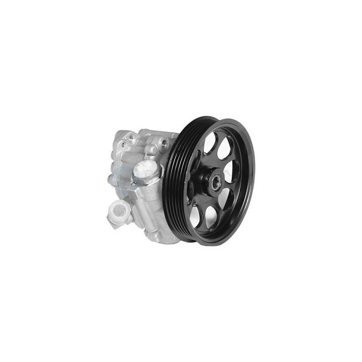 Pompa wspomagania Professional Parts 61348447