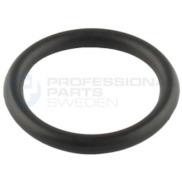 Uszczelka kolektora ssącego dolotowego Professional Parts 21347379