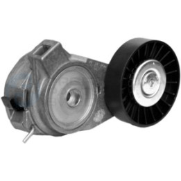 Napinacz paska klinowego wielorowkowego Professional Parts 21348755