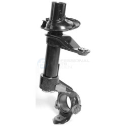 Kolumna zawieszenia Professional Parts 72348858