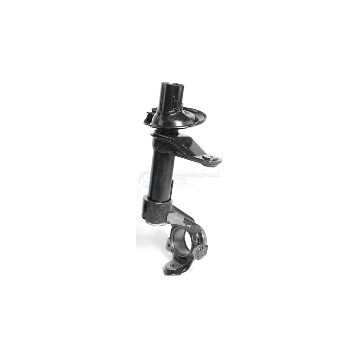 Kolumna zawieszenia Professional Parts 72348858
