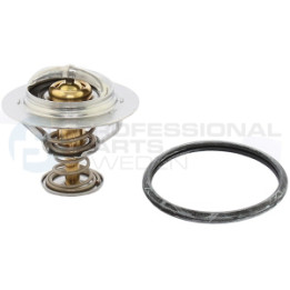 Termostat Professional Parts 26342148
