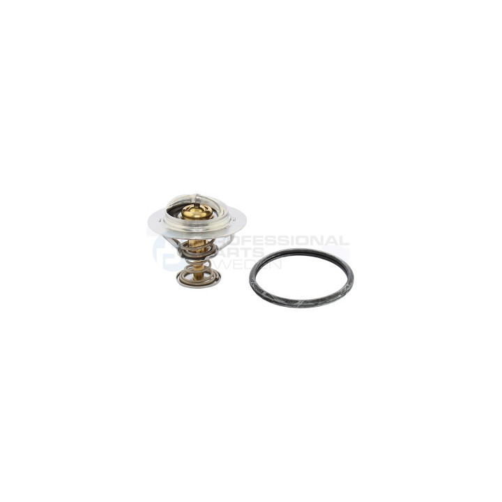 Termostat Professional Parts 26342148