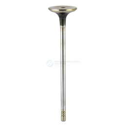 Zawór dolotowy Professional Parts 23346431