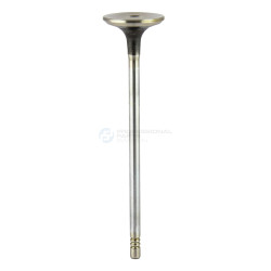 Zawór dolotowy Professional Parts 23346431