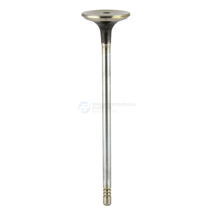 Zawór dolotowy Professional Parts 23346431