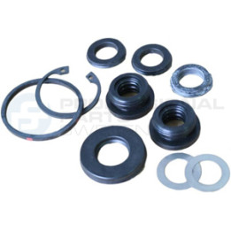 Zestaw naprawczy pompy hamulcowej Professional Parts 52343982